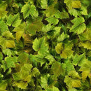 MM Viva Vino Grape Leaves - DCX11561-EMER-D Emerald - Cotton Fabric