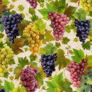 MM Viva Vino Grape Vines - DCX11560-CREM-D Cream - Cotton Fabric
