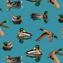 MM Welcome to our Lake - DCX11479-AQUA - Cotton Fabric