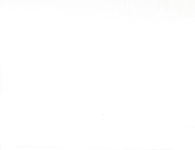 MODA 108" 200 Count Muslin - 9954-11 Warm White - Cotton Fabric