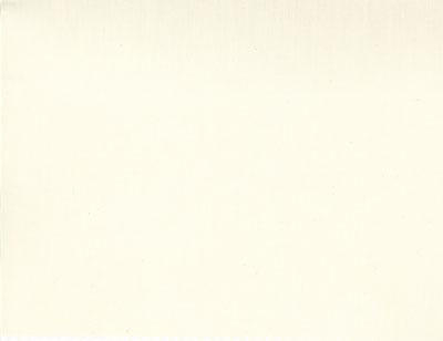 MODA 108" 200 Count Muslin - 9954-12 Natural - Cotton Fabric