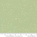 MODA Brookside - 36086-15 Breeze - Cotton Fabric