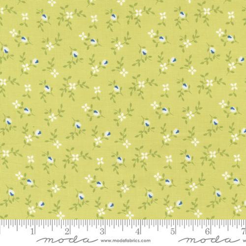 MODA Cali & Co. - 29192-38 Light Lime - Cotton Fabric