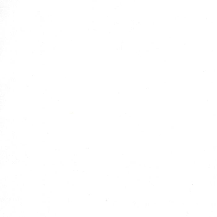 MODA Crackle - 5746-110 White On White - Cotton Fabric