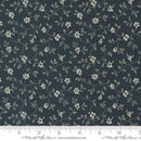 MODA Goodnight Irene - 31705-27 Graphite - Cotton Fabric