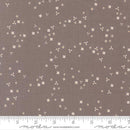 MODA In The Garden - 29236-23 Slate - Cotton Fabric