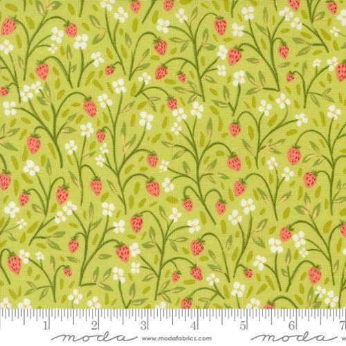 MODA Kindred - 36071-15 Meadow - Cotton Fabric