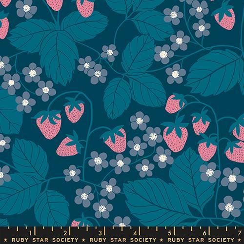 MODA Reimagined Landscapes - RS6054-16 Galaxy - Cotton Fabric