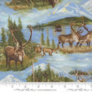 MODA Wild Blue Yonder - 33873-11 Sky - Cotton Fabric