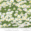 MODA Wildflowers 2024 - 33773-12 Cloud - Cotton Fabric
