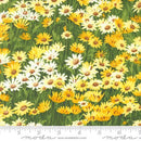 MODA Wildflowers 2024 - 33773-14 Sunshine - Cotton Fabric