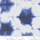 MODA Winter Chill - 48101-18 Frost - Cotton Fabric