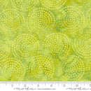 Moda Echo Batiks - 4369-23 Lime Swirl - Cotton Batik Fabric