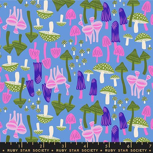 Moda Hello Alice - RS2124-13 Lindley Blue - Cotton Fabric