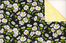NCI Daisies Double Faced Quilted - 19771823 Black/Yellow - Polyester Fabric