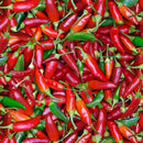NCI Food Festival Chili Peppers - 576-MULTI - Cotton Fabric