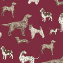 NCI Camelot Tea & Poetry Collection Prose & Poetry - 49240602-01 Multi - Cotton Fabric