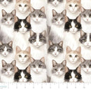 NCI Paws & Whiskers - 21250601-01 - Cotton Fabric