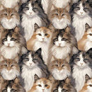 NCI Paws & Whiskers - 21250602-01 - Cotton Fabric