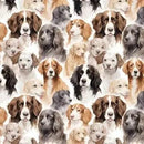 NCI Paws & Whiskers - 21250604-01 - Cotton Fabric