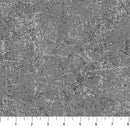 NCT Glisten - P10091-92 Aluminum - Cotton Fabric