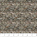 NCT Little Rascals - 25514-95 Gray - Cotton Fabric