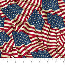 NCT Stars & Stripes 14 - 29043-12 Beige Multi - Cotton Fabric