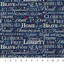 NCT Stars & Stripes 14 - 29044-49 Navy Multi - Cotton Fabric