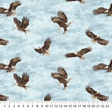 NCT Stonehenge Eagle Pass - 27675-42 Light Blue Multi - Cotton Fabric
