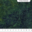 NCT Stonehenge Gradations II - 26755-78 Pine Ridge - Cotton Fabric