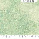 NCT Stonehenge Gradations II - 26758-78 Pine Ridge - Cotton Fabric