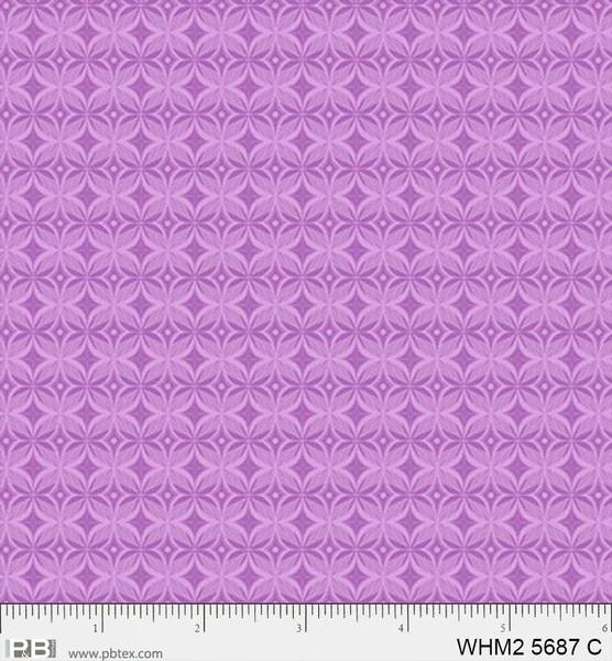 PB Whimsy II Kaleidoscope Geo - 5687-C - Cotton Fabric