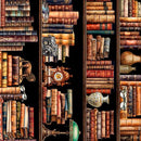 QT Book Club Bookshelf Border Stripe - 32254-X Multi - Cotton Fabric