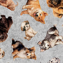 QT Cuties 2 Puppy Toss - 31449-K Gray - Cotton Fabric