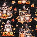 QT Cuties Halloween Owls - 31177-J Charcoal - Cotton Fabric