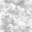 QT Earthly Delights Clouds - 31312-K Gray - Cotton Fabric