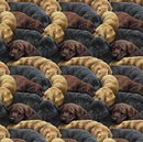 QT For The Love Of Labs Packed Labs - 30309-X Multi - Cotton Fabric