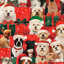 QT Gotta Have It - Christmas Dogs - 31189-R Red - Cotton Fabric