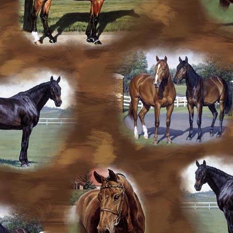 QT Horse Country Horse Vignettes - 30195-A Brown - Cotton Fabric