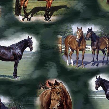 QT Horse Country Horse Vignettes - 30195-F Hunter - Cotton Fabric