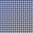 QT Midnight Petals Gingham - 31923-B Blue - Cotton Fabric
