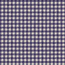 QT Midnight Petals Gingham - 31923-V Purple - Cotton Fabric