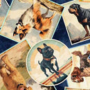 QT Top Dog Collage - 30579-N Navy - Cotton Fabric