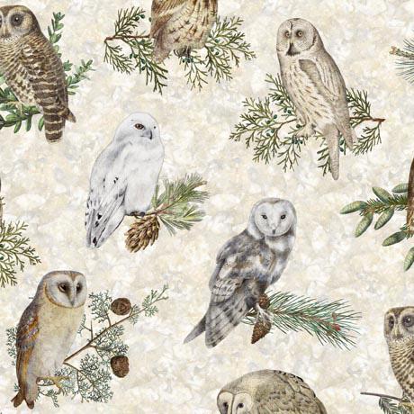 QT Winterhaven Owls - 29899-E - Cotton Fabric