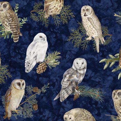 QT Winterhaven Owls - 29899-N - Cotton Fabric