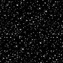 RJR Confetti - RJ1410-WB5 White on Black - Cotton Fabric
