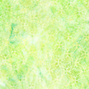 RK Artisan Batiks: Geo Earth - 23422-41 Celery - Cotton Fabric