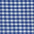 RK Carolina Gingham 1/8" P-5689-1 Royal - Cotton Fabric