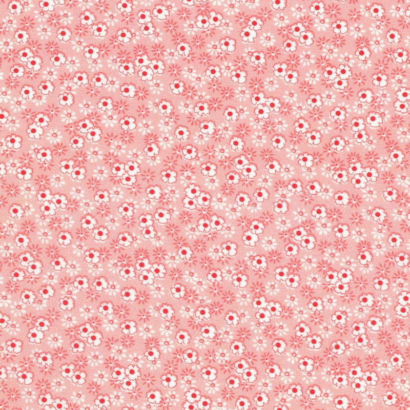 RK Darlene's Favorites - 23340-10 Pink - Cotton Fabric