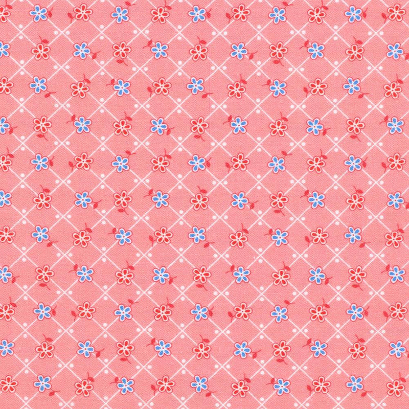 RK Darlene's Favorites - 23342-10 Pink - Cotton Fabric